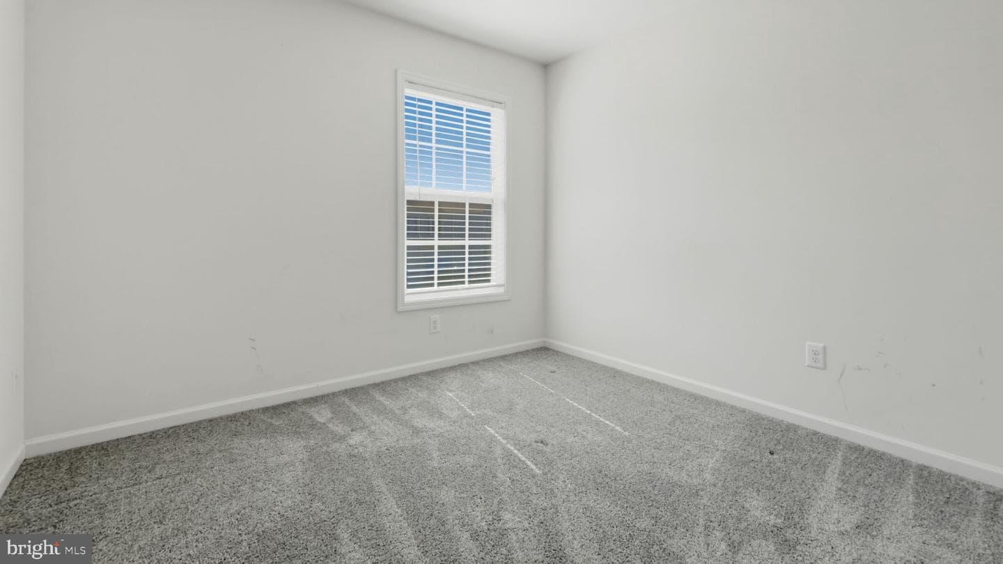 14 Grassland Street photo 16
