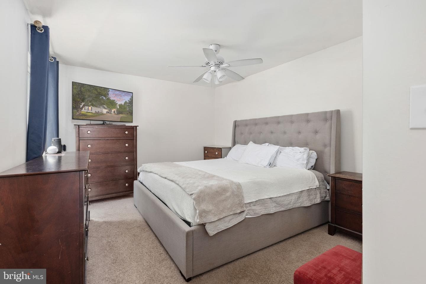 6 Regency Drive photo 24