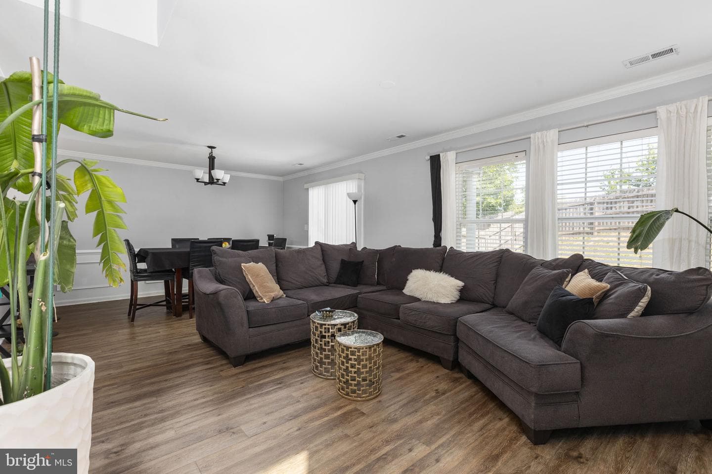 6 Regency Drive photo 9