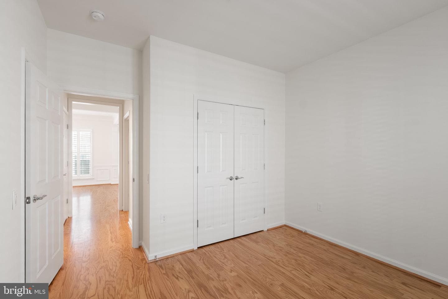 33 Denison Street photo 20