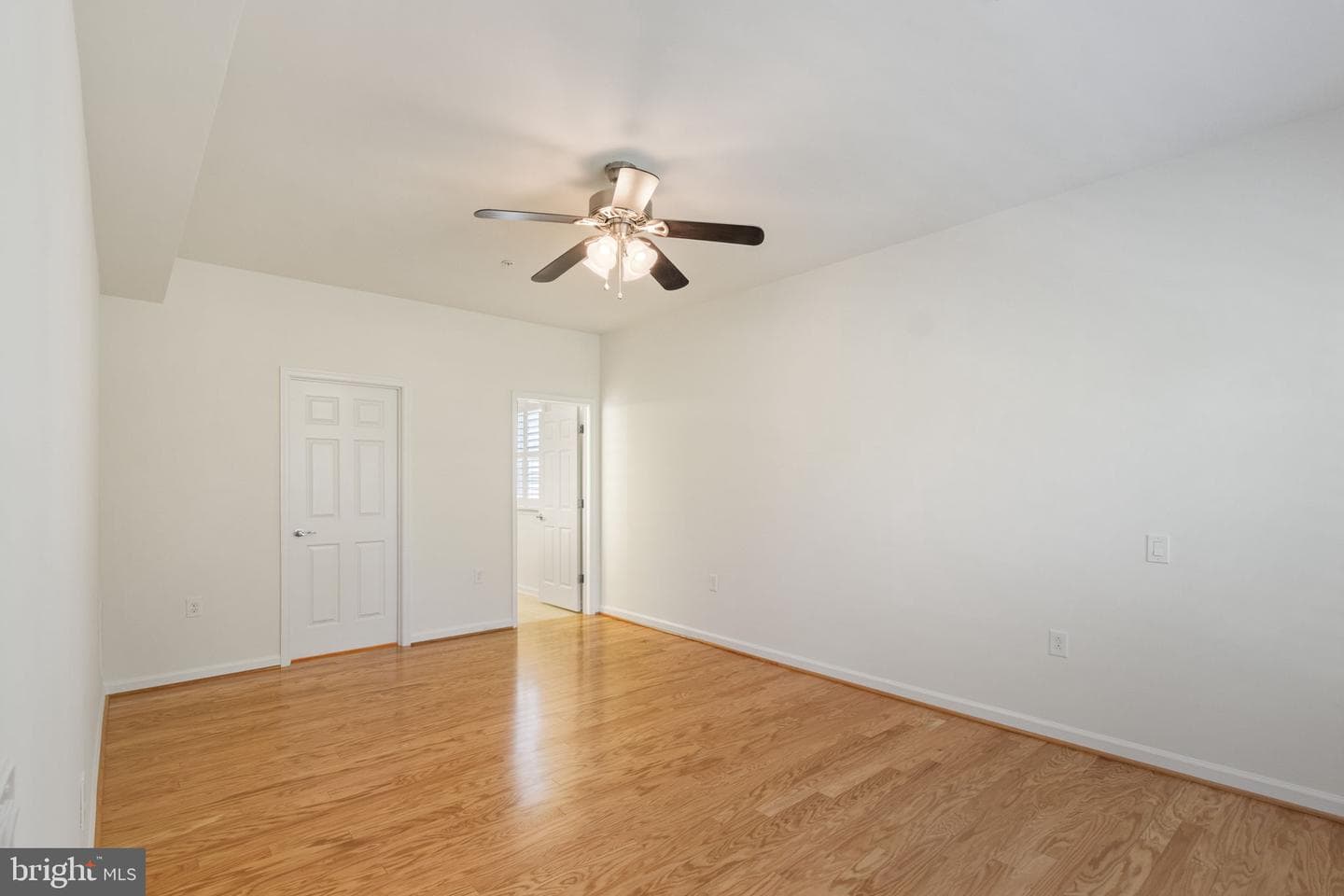 33 Denison Street photo 31