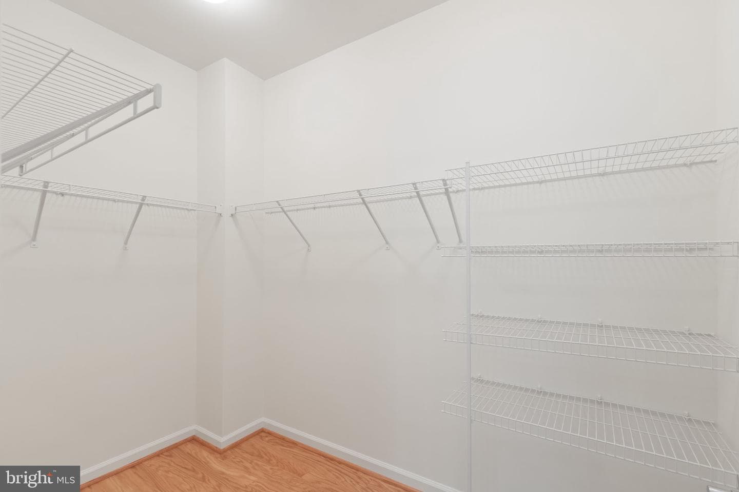 33 Denison Street photo 35