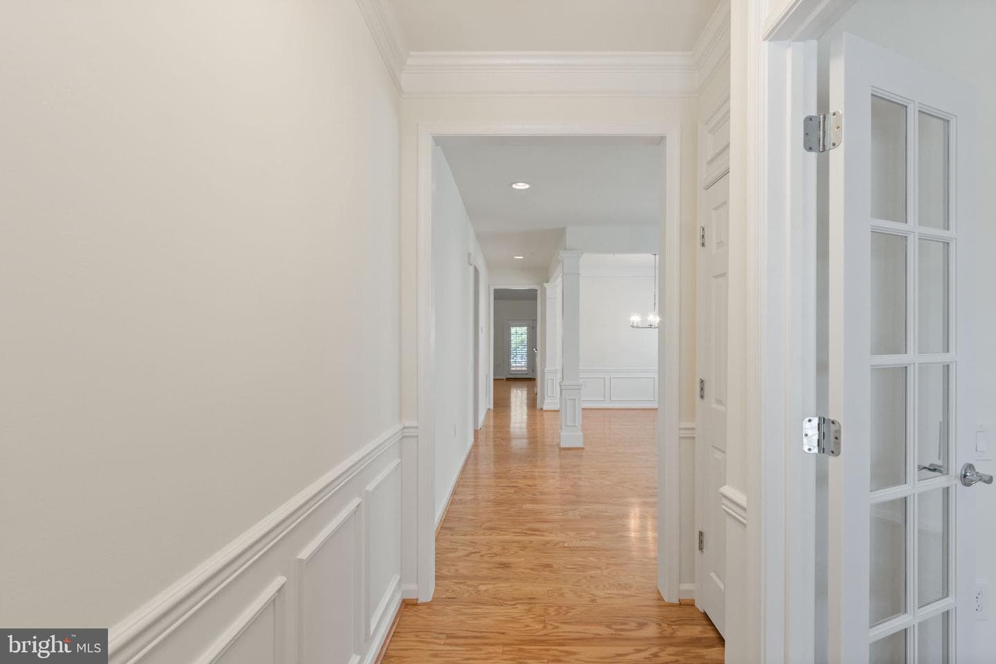 33 Denison Street photo 6