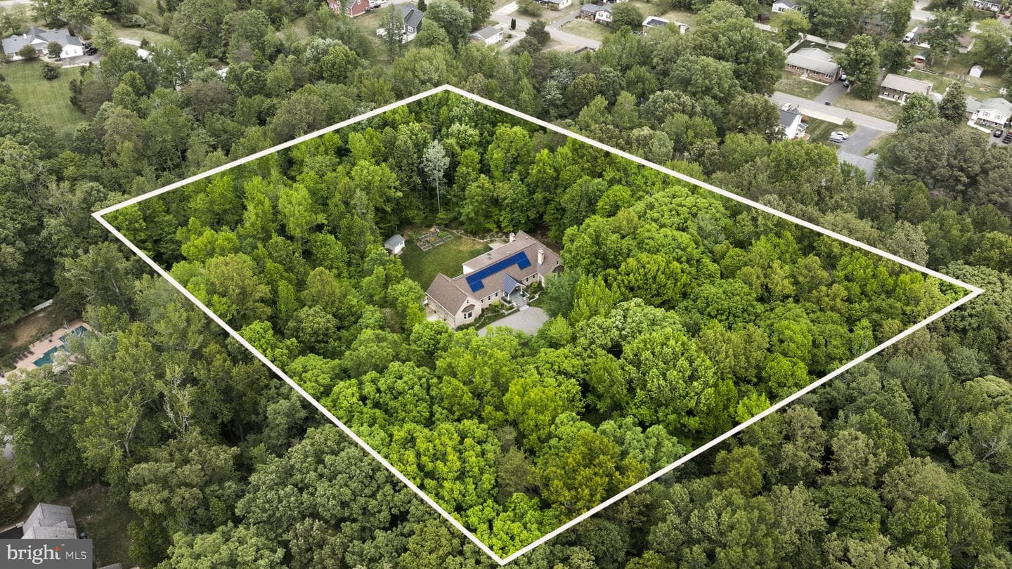 40 Holly Tree Lane photo 6