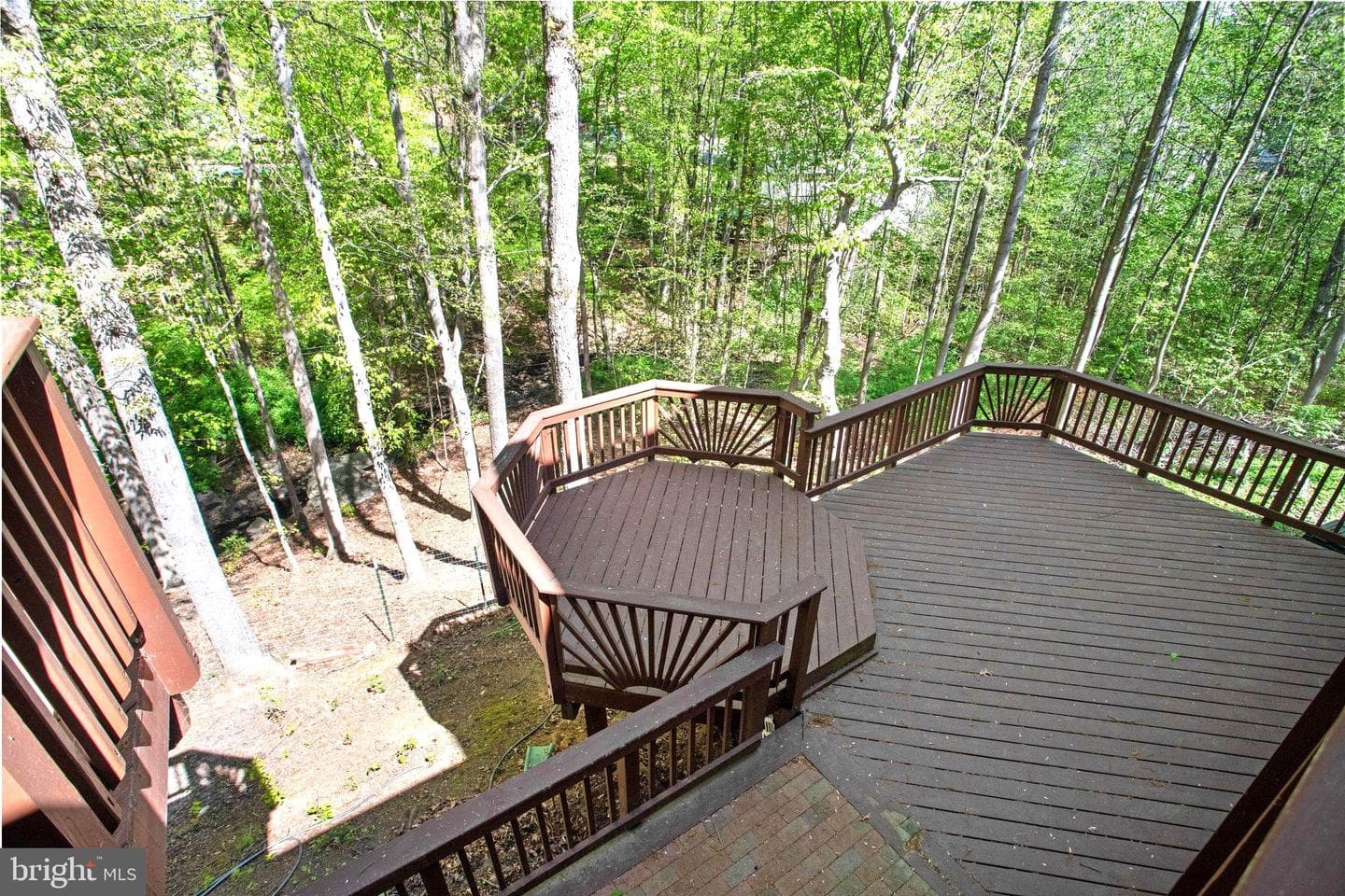 5 Murray Circle photo 36