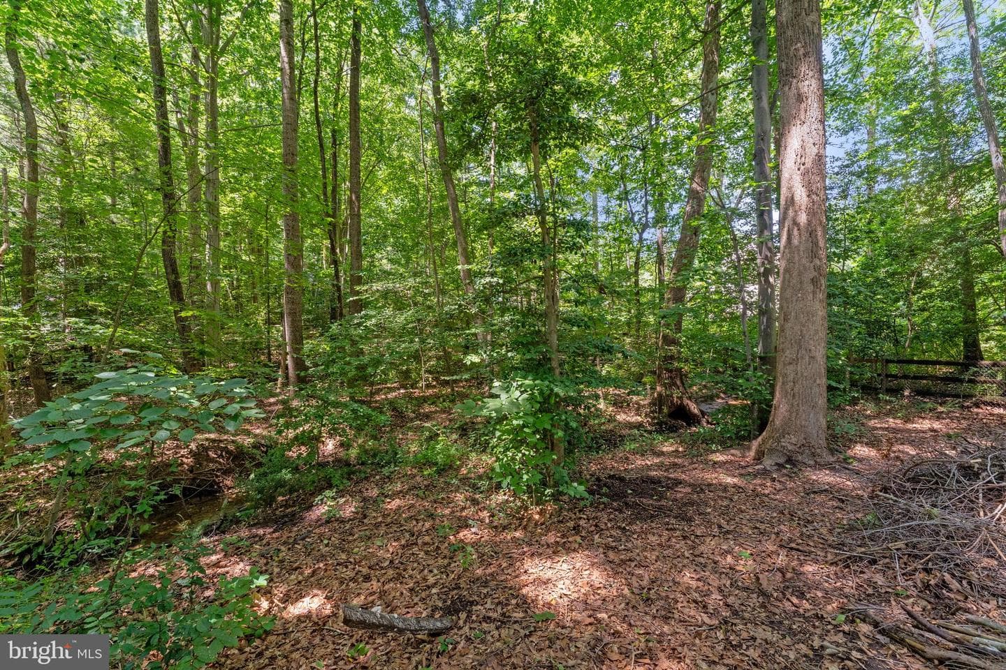 7 Wexwood Court photo 60