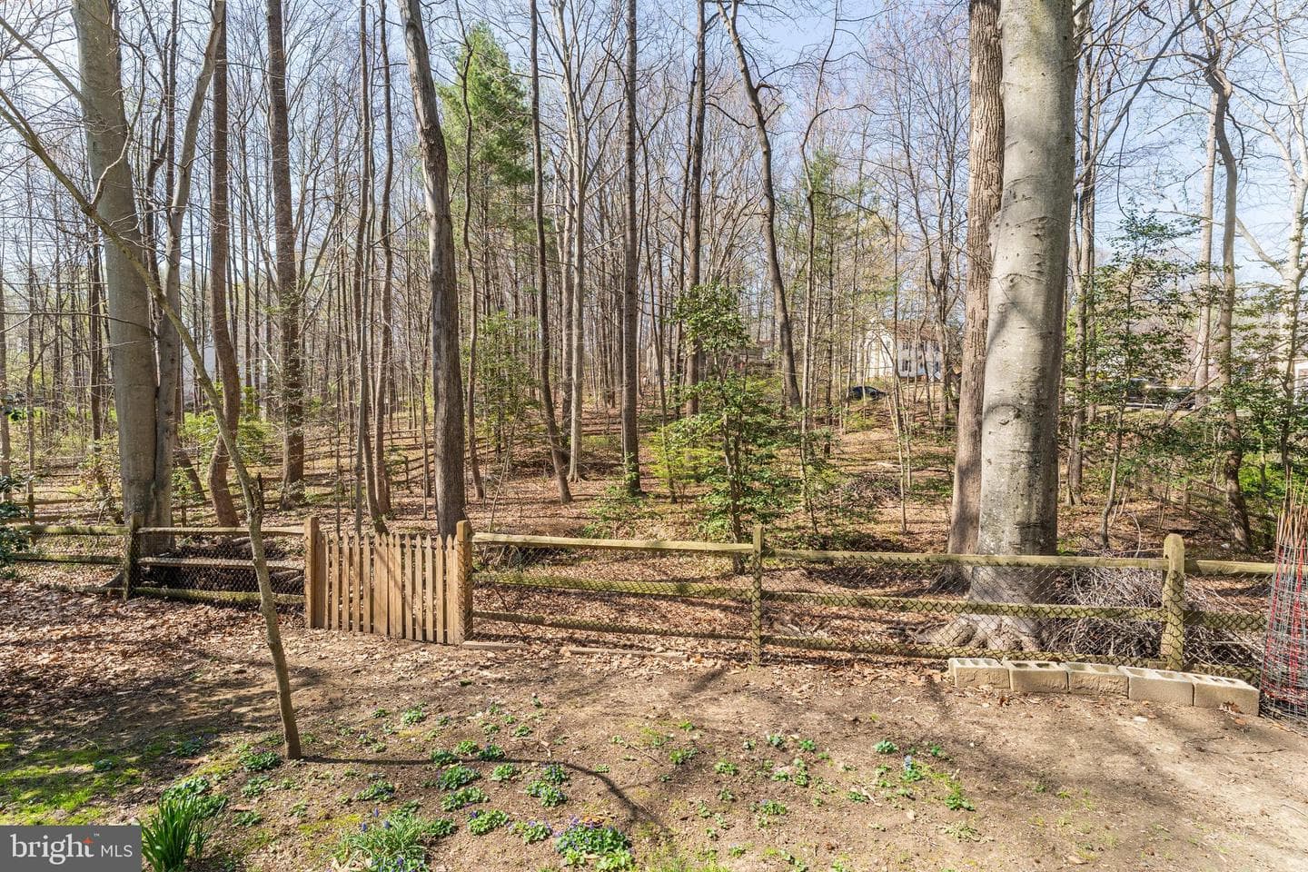 7 Wexwood Court photo 63