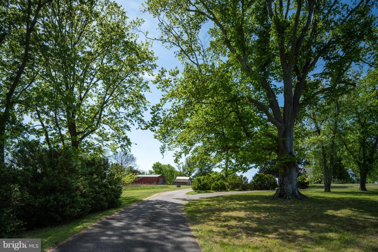 1432 Kings Highway photo 23