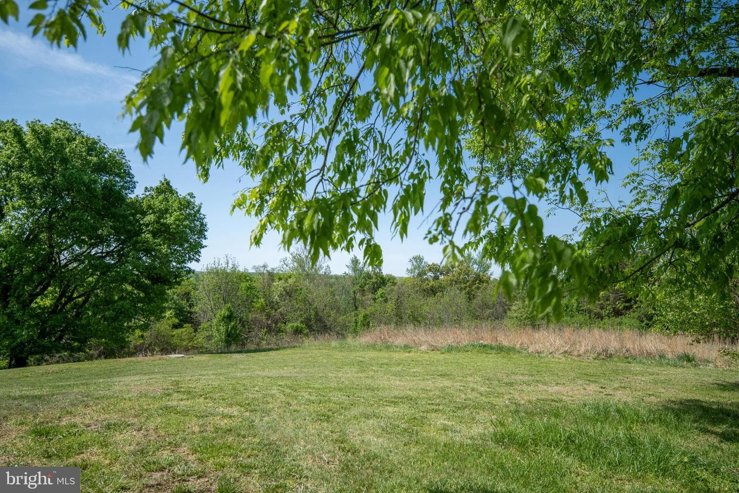 1432 Kings Highway photo 95