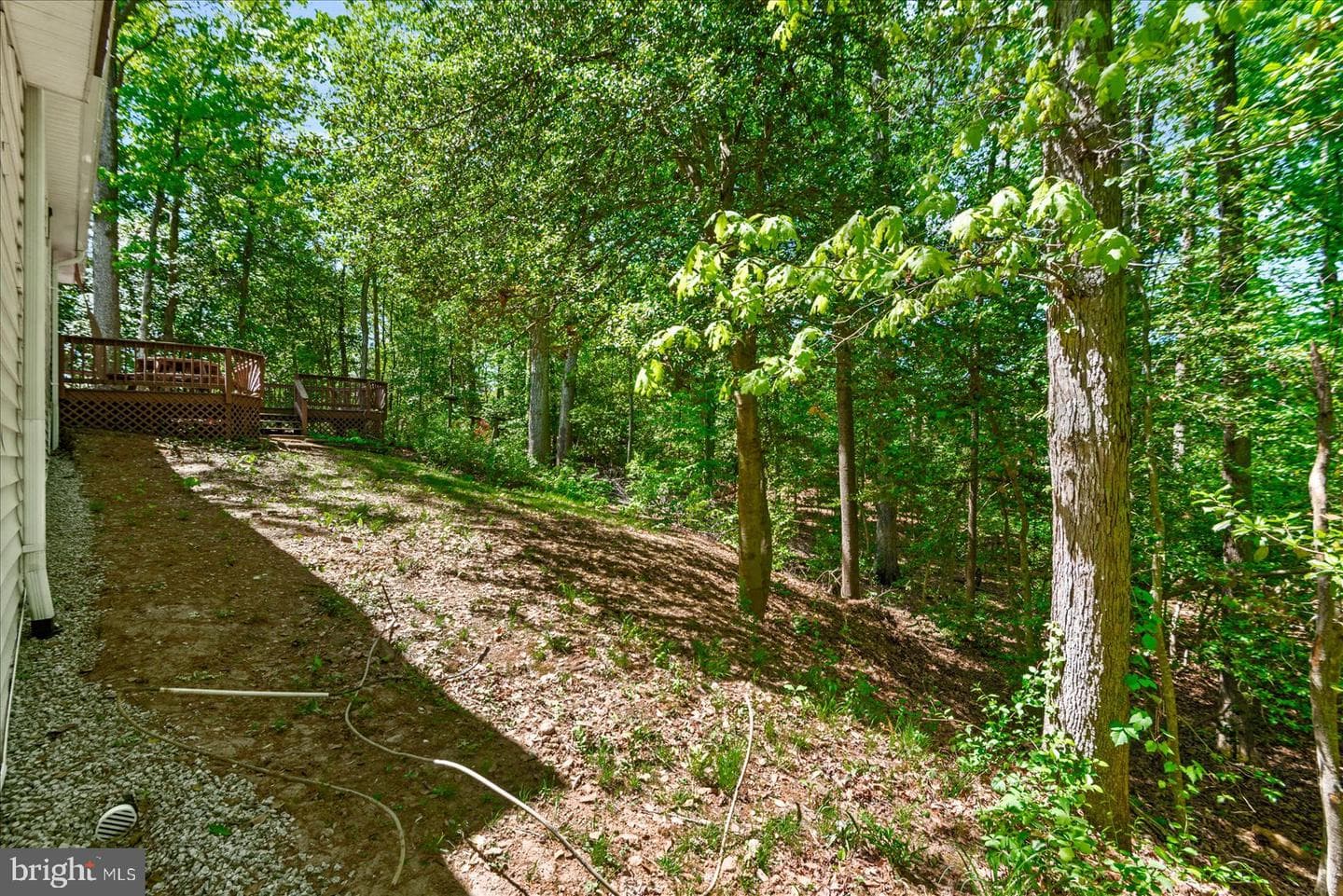 37 Hope Road photo 43