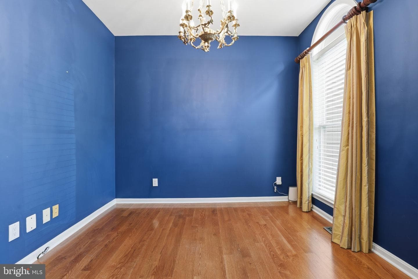 56 Monument Drive photo 16