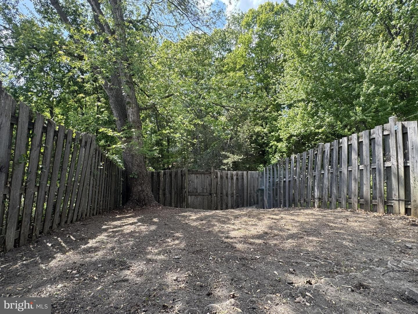 204 Barksdale Place photo 38