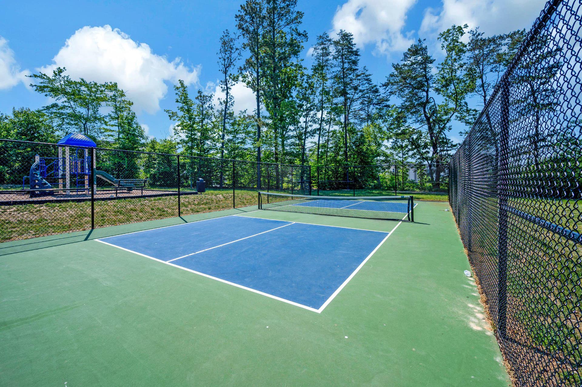 429 Snowberry Lane photo 44