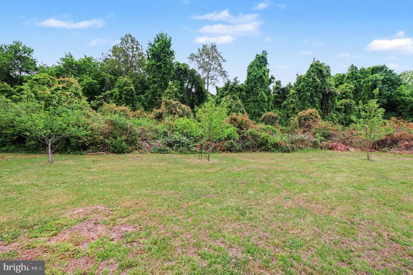 50 Cleek Ln photo 5