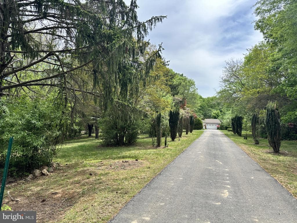 300 Mount Olive Road photo 19