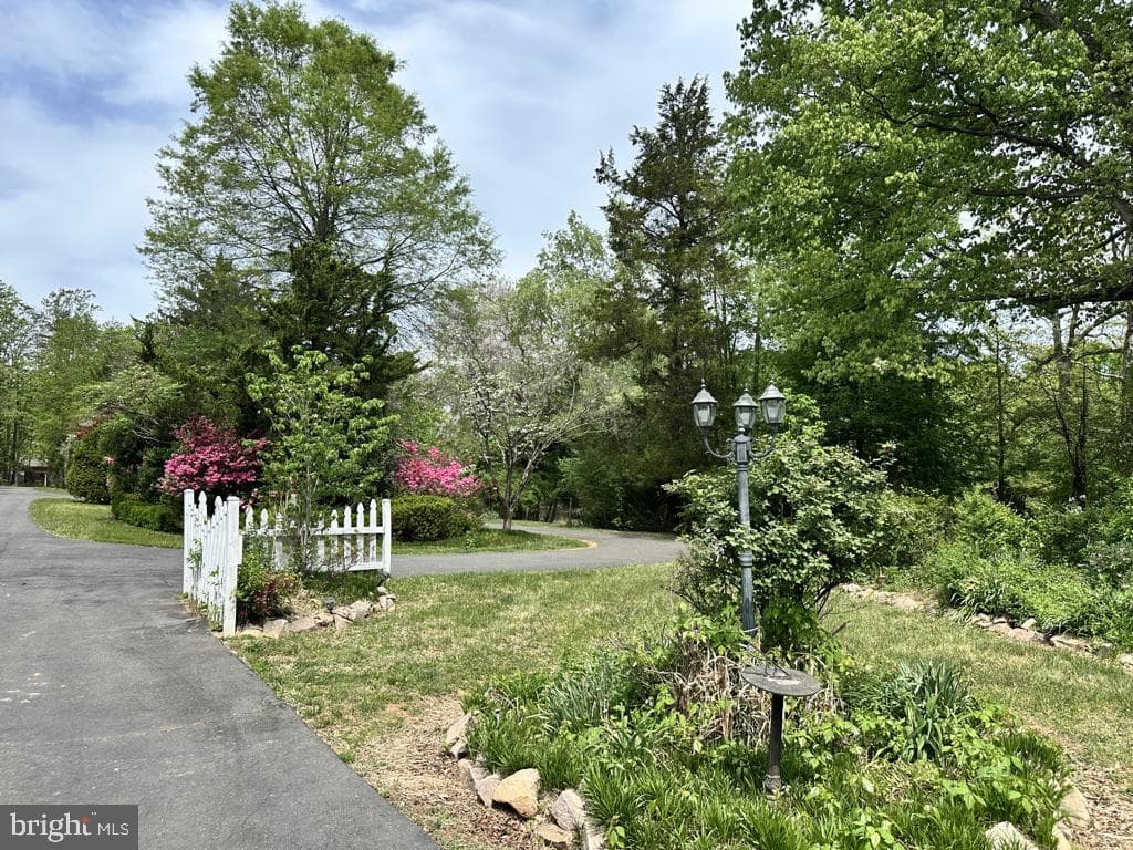 300 Mount Olive Road photo 21