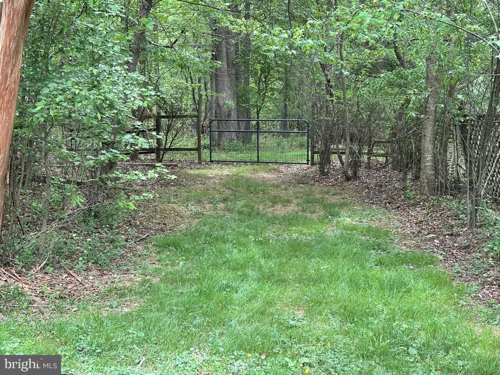 300 Mount Olive Road photo 43
