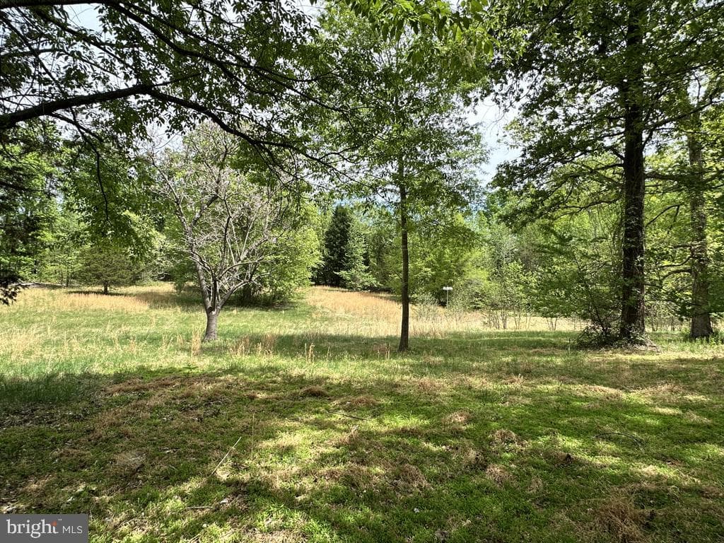 300 Mount Olive Road photo 53