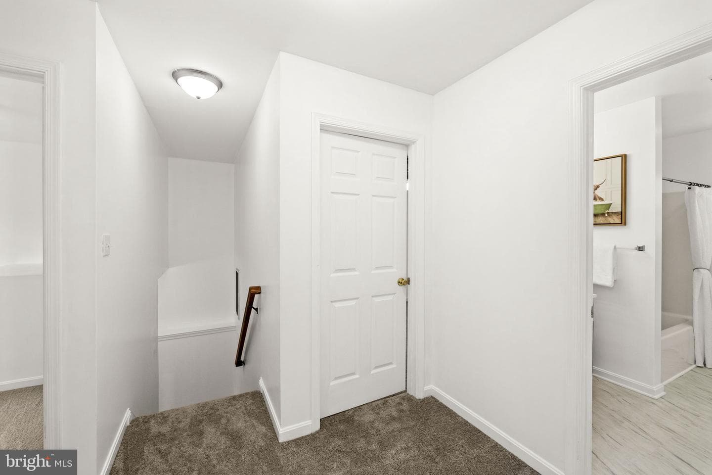 204 Little Whim Road photo 36