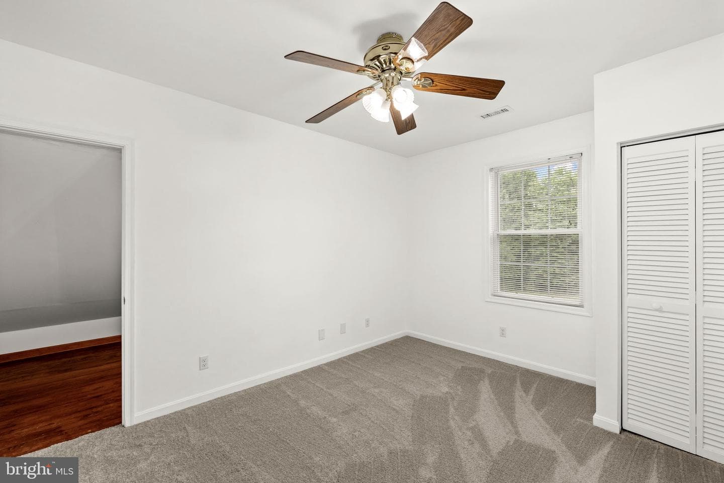 204 Little Whim Road photo 43