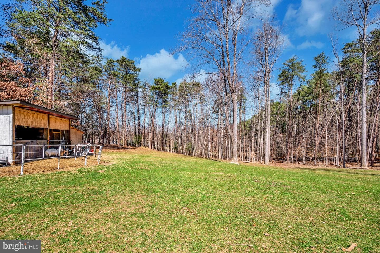 329 Mount Olive Road photo 56