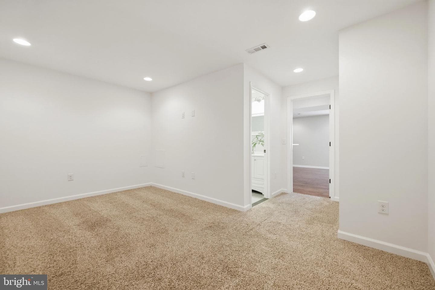 19 Hopkins Branch Way photo 42