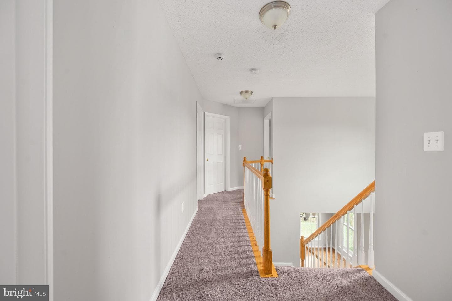 18 Birney Court photo 49