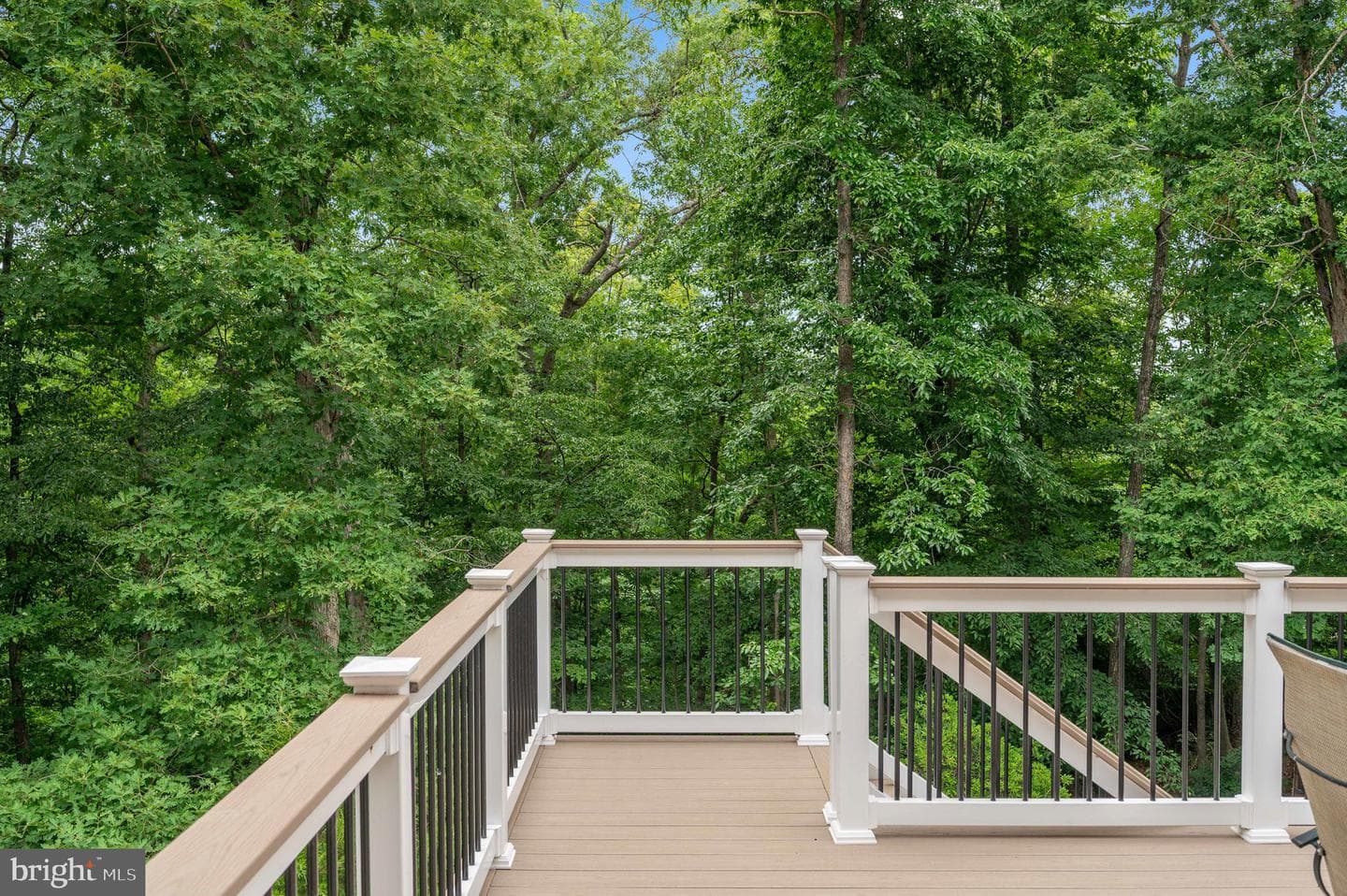 18 Birney Court photo 65