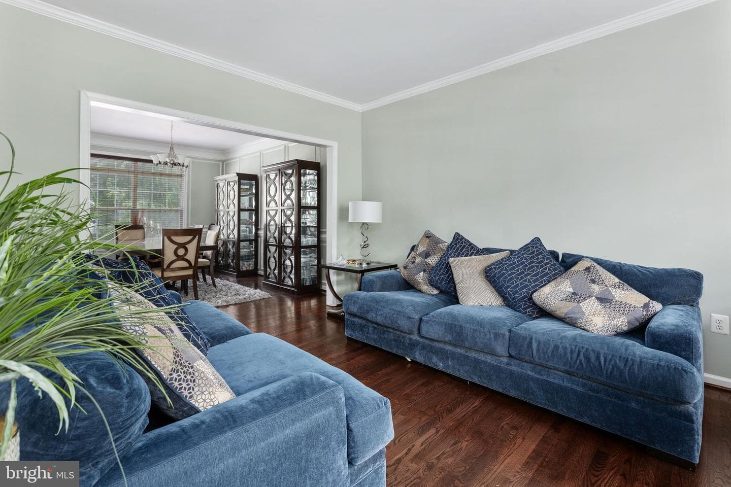 8 Saint Richards Court photo 34