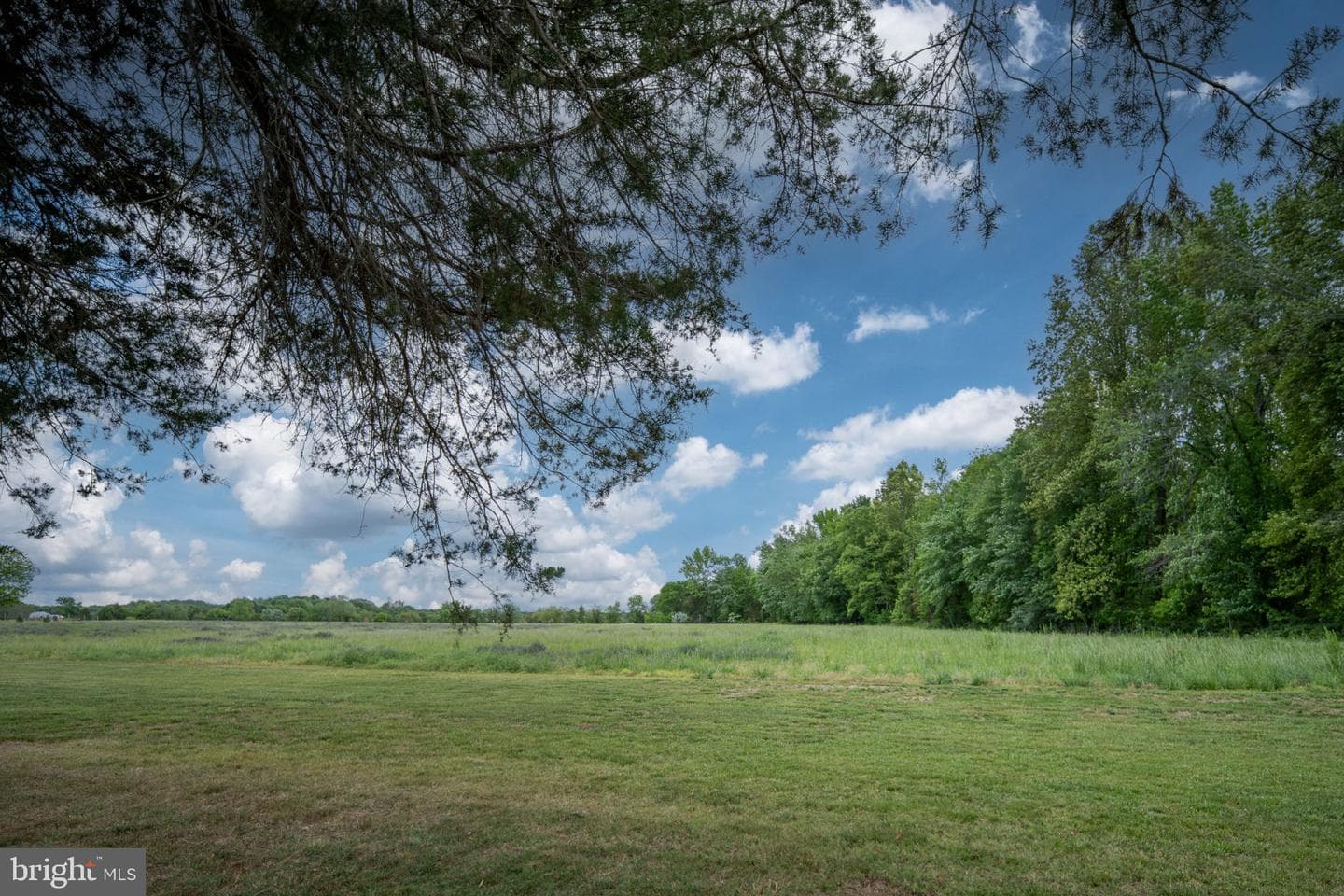 145 Forest Lane Road photo 96