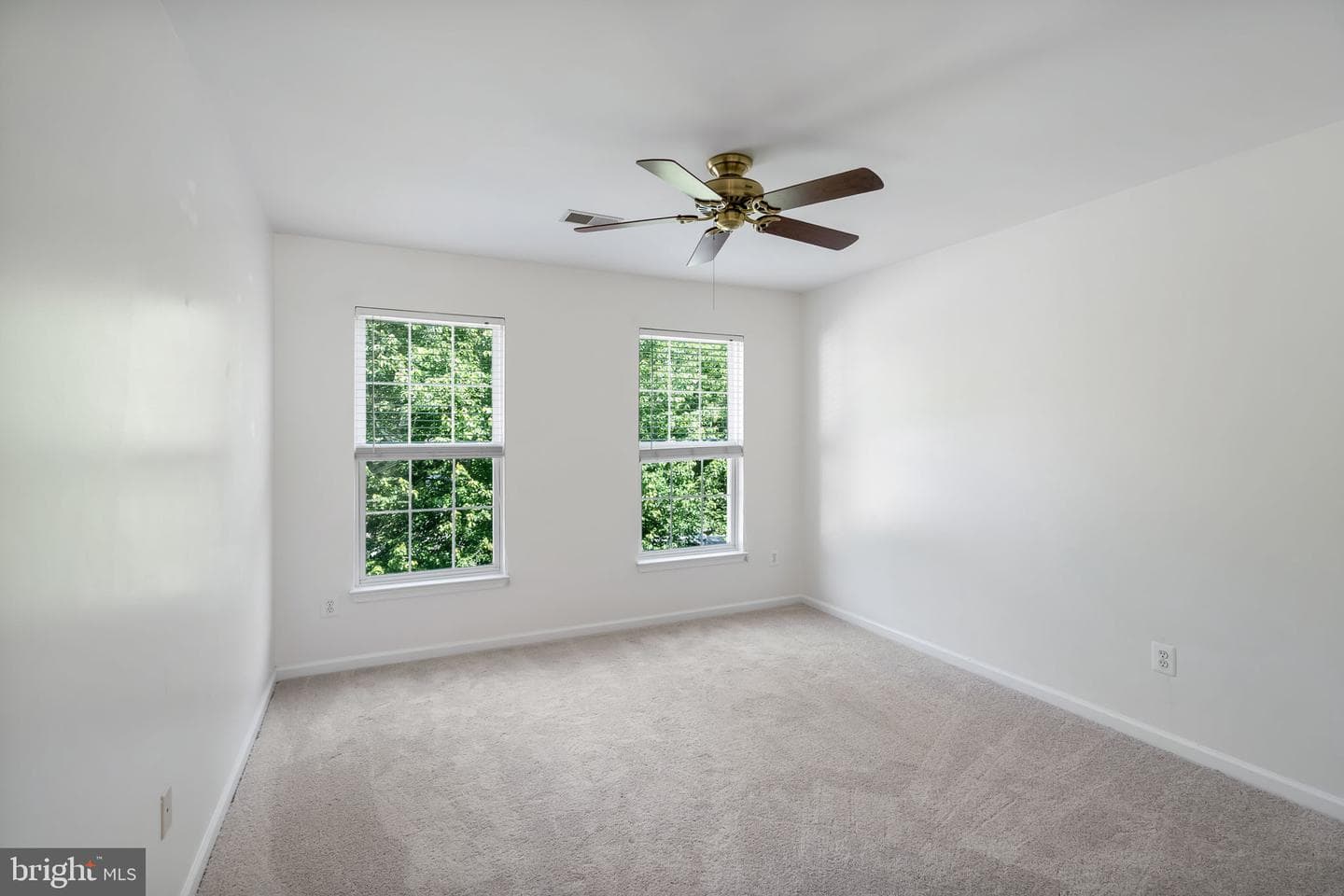47 Montgomery Drive photo 32
