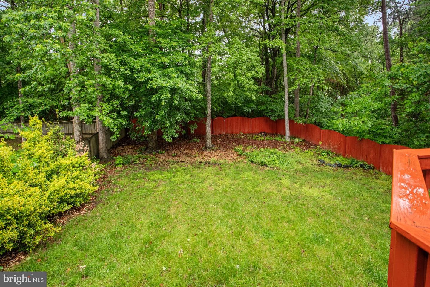 40 Catherine Lane photo 39