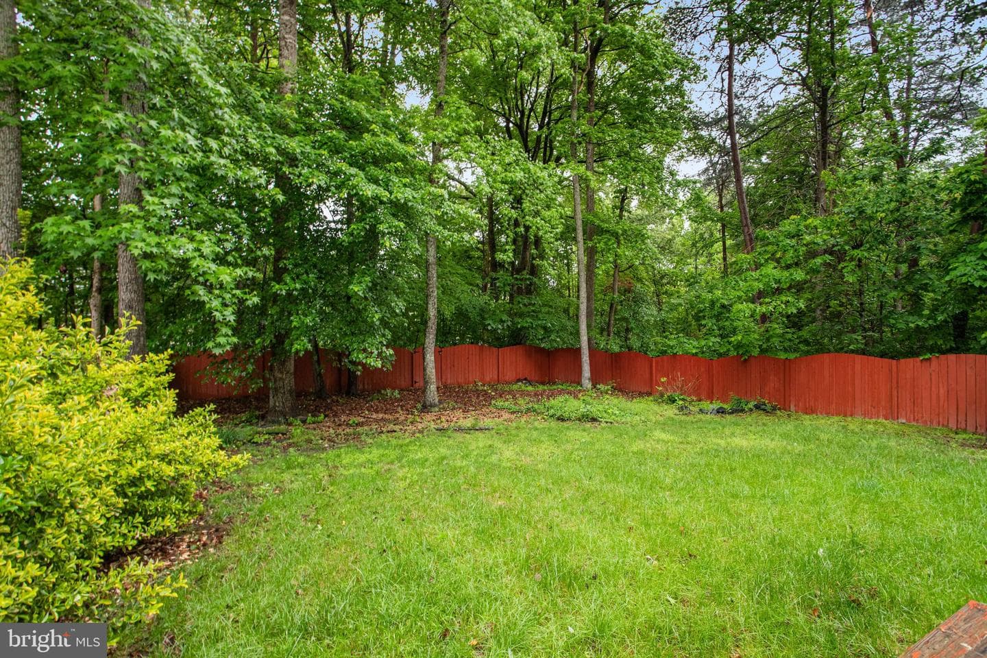40 Catherine Lane photo 41