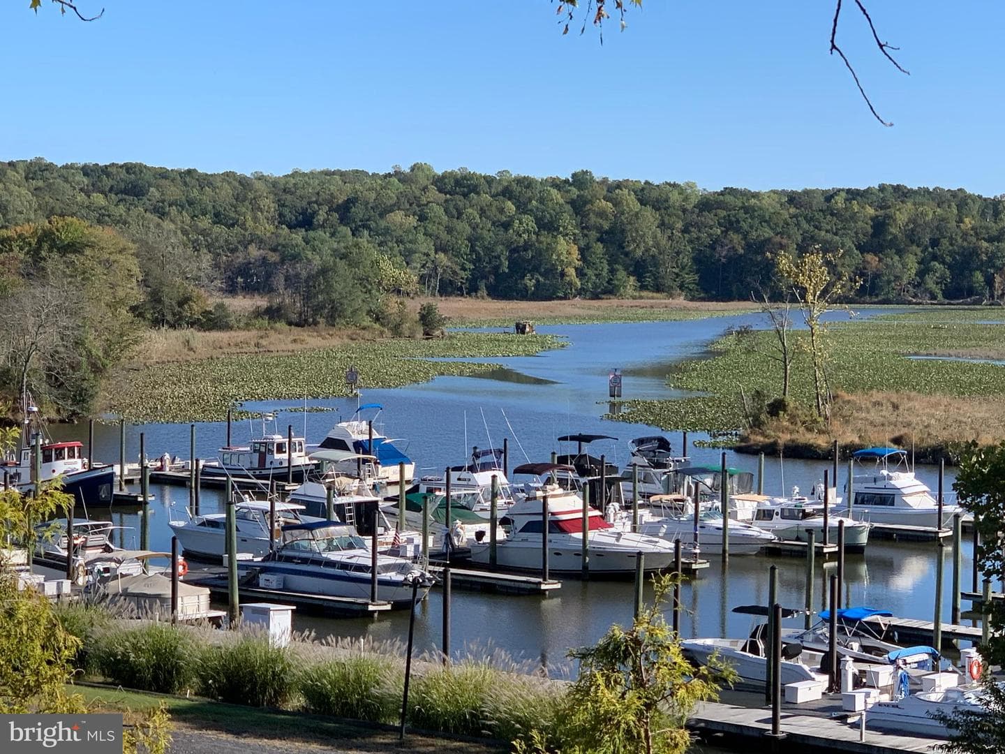 213 Mast Cove photo 41