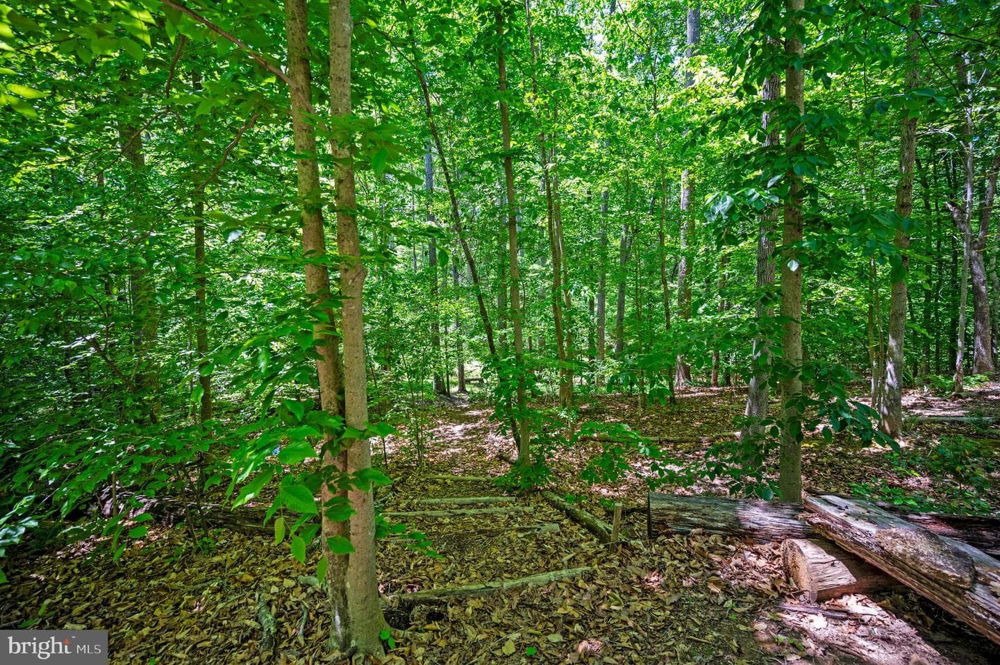 131 Arden Lane photo 78