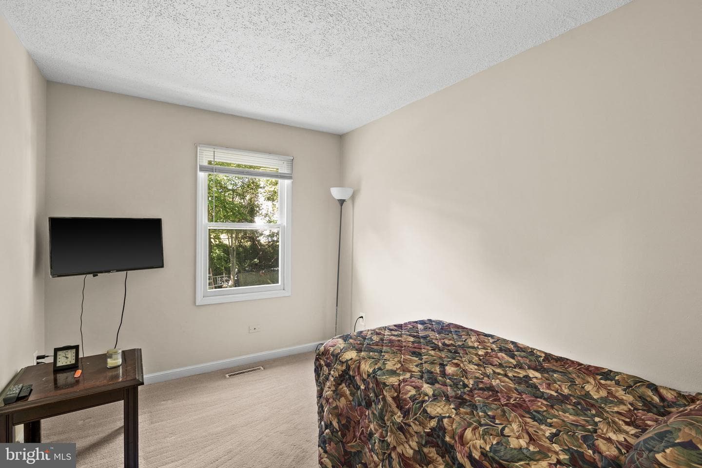 303 Via De Rosa Dr photo 12