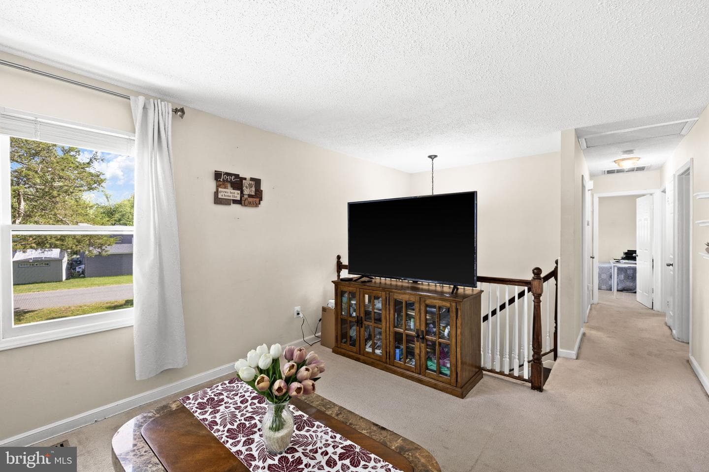303 Via De Rosa Dr photo 14