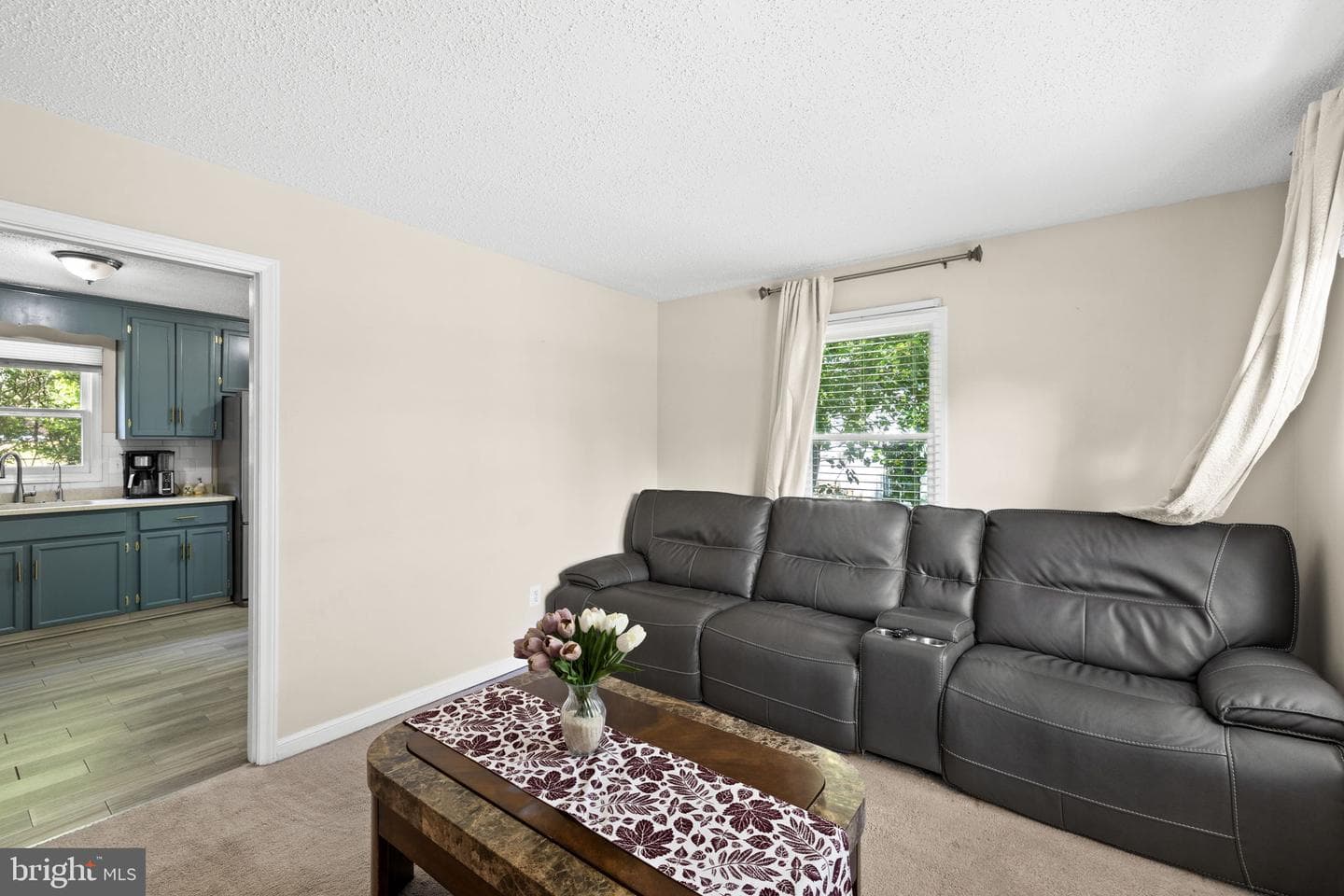 303 Via De Rosa Dr photo 15