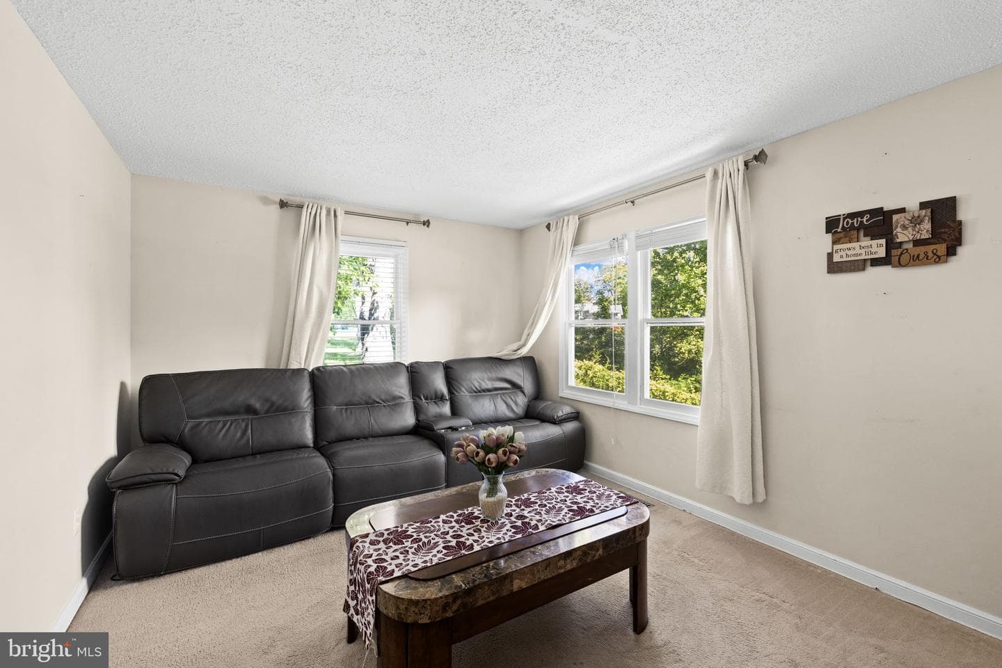 303 Via De Rosa Dr photo 16