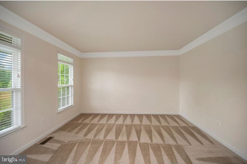 15 Sweet William Drive photo 9