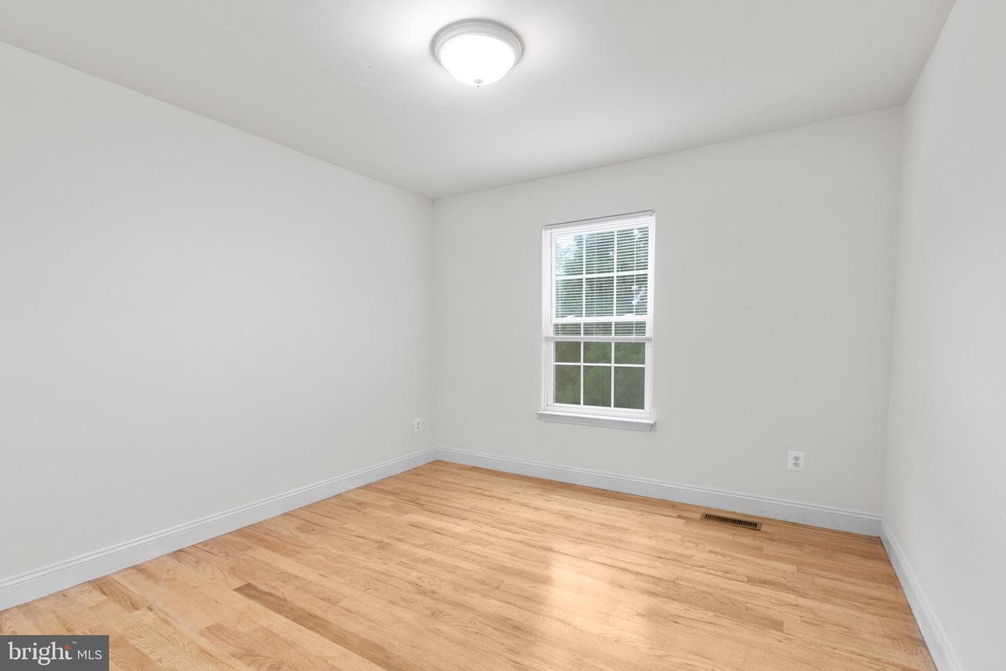 53 Bloomington Lane photo 14