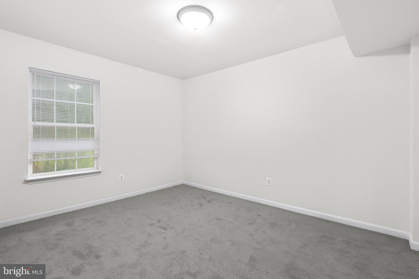 53 Bloomington Lane photo 19