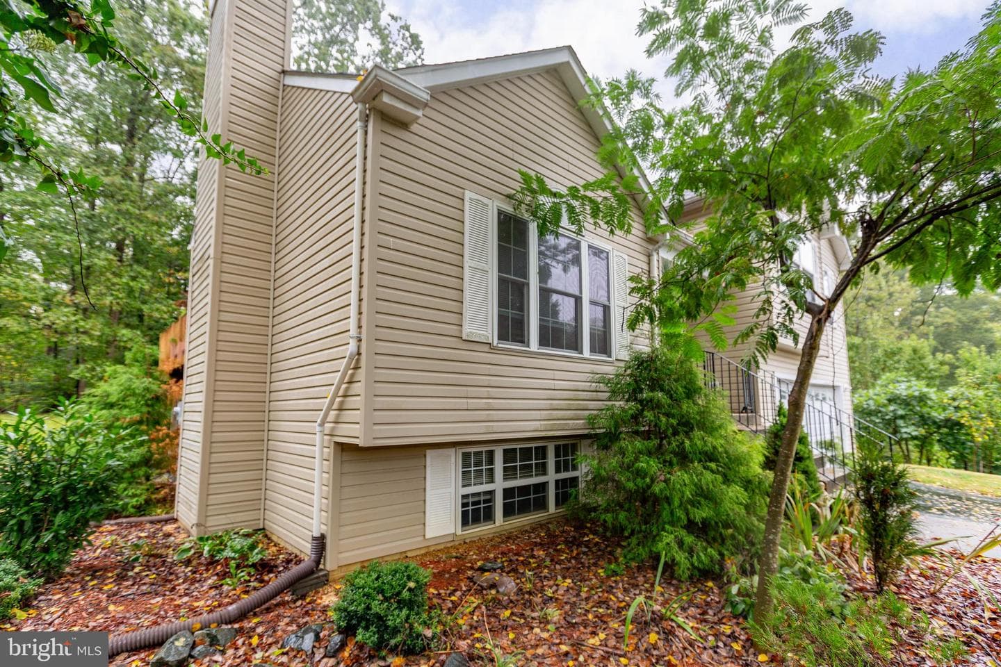 53 Bloomington Lane photo 31