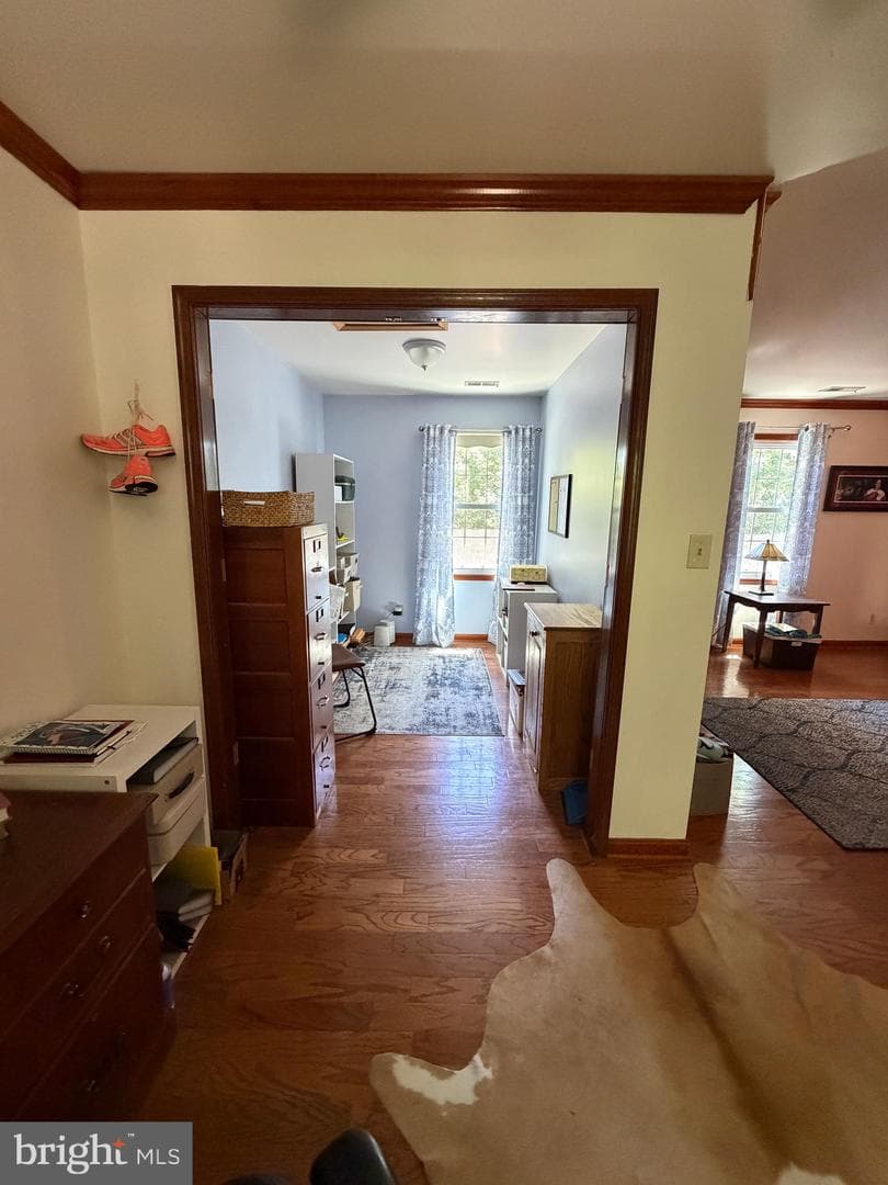 24 Braddock Drive photo 38