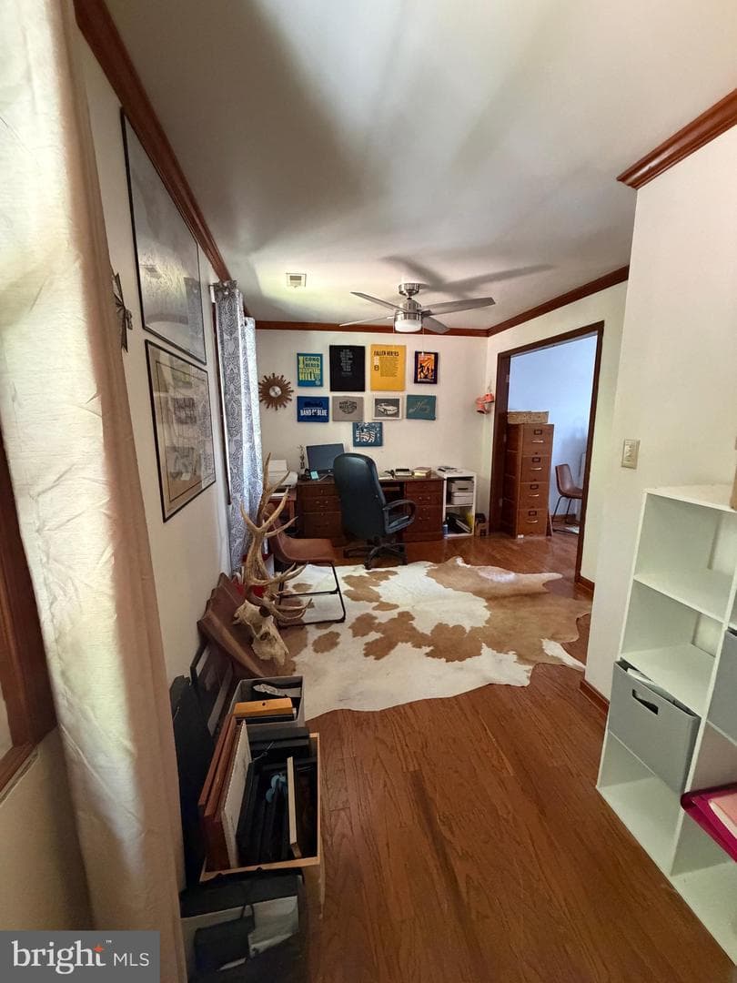 24 Braddock Drive photo 39