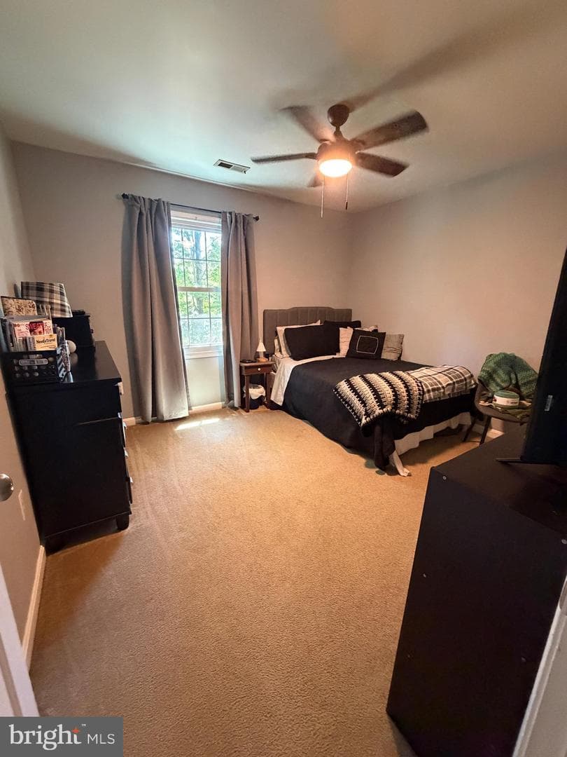 24 Braddock Drive photo 49