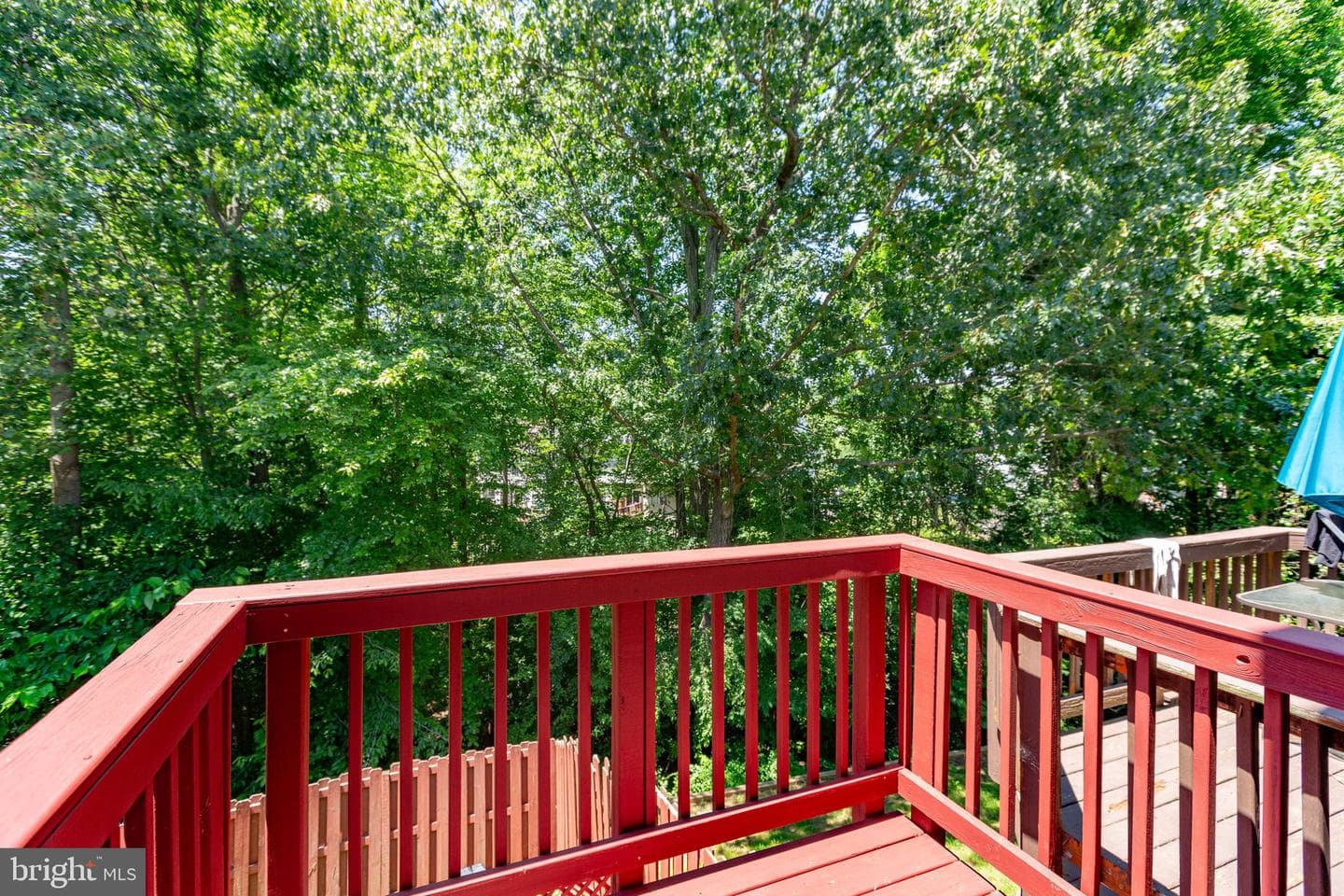 204 Sterling Court photo 12