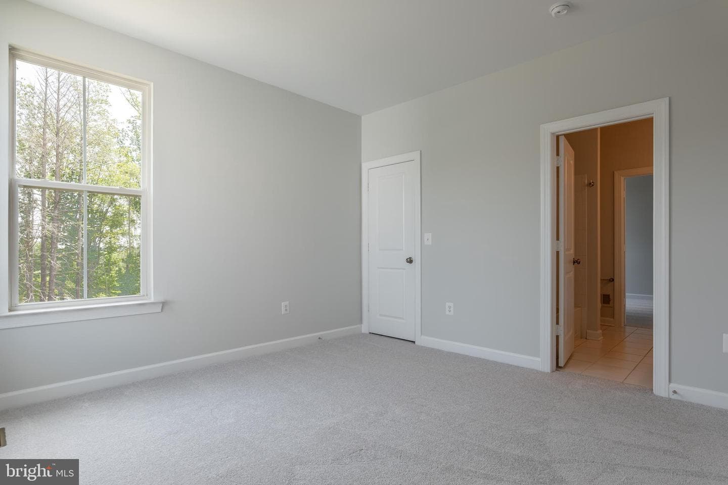 200 Petunia Way photo 35