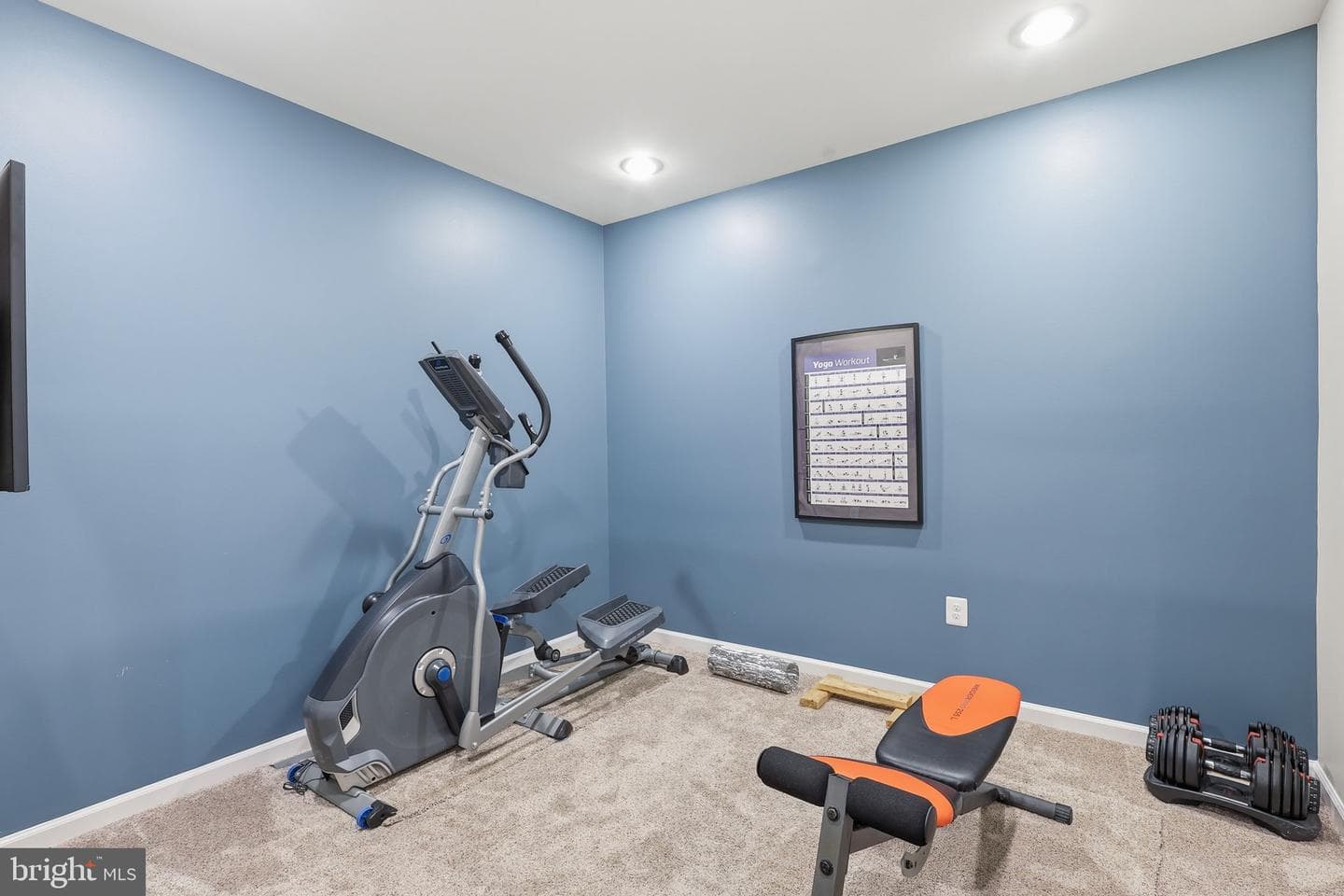 428 Alder Drive photo 38