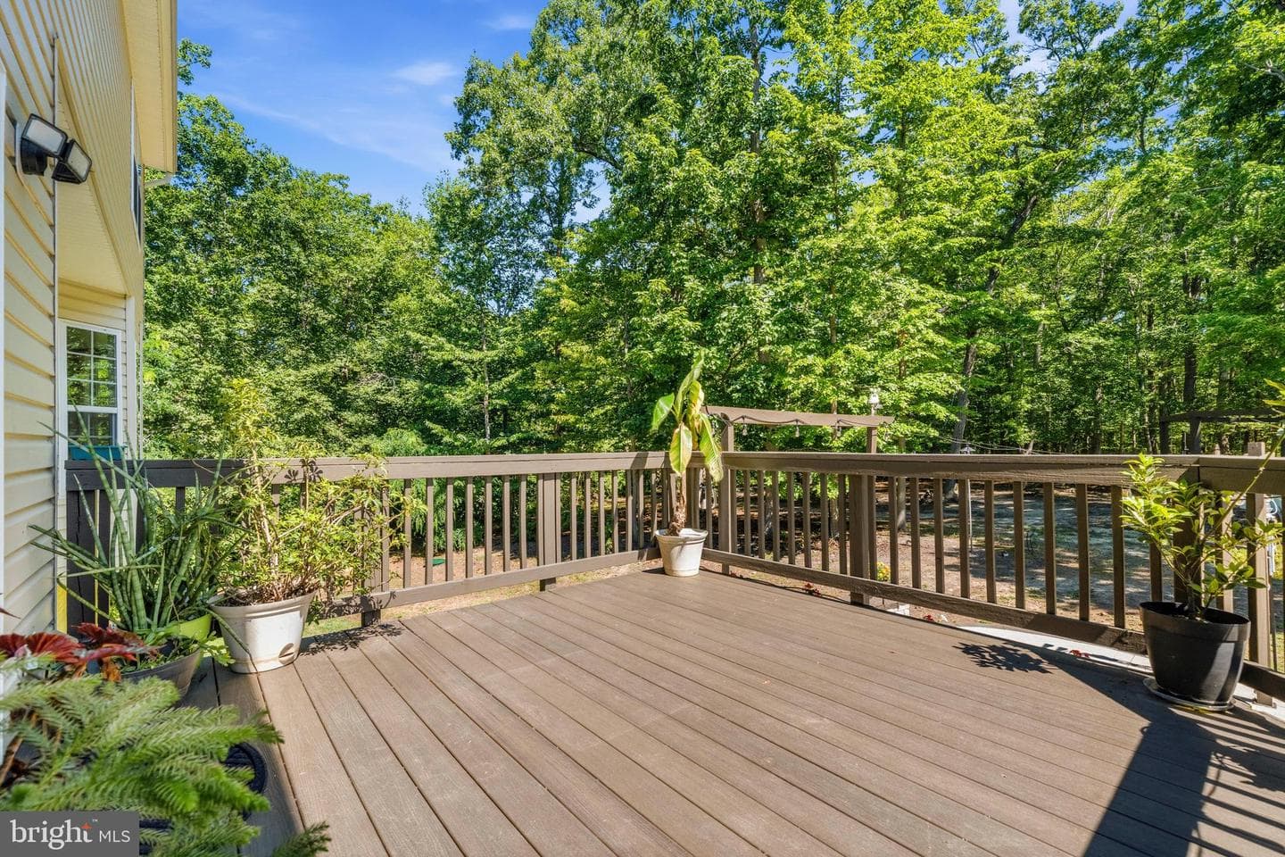 90 Maplewood Drive photo 53